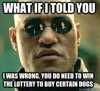 what if i told you I was wrong. You do need to win the lottery to buy certain dogs  Matrix Morpheus