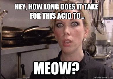 Hey, how long does it take
 For this acid to... Meow?  Crazy Amy