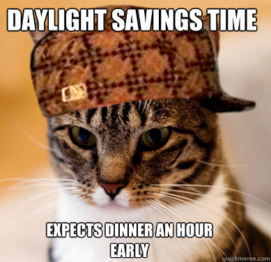 Daylight Savings Time Expects dinner an hour early - Daylight Savings Time Expects dinner an hour early  Scumbag Cat