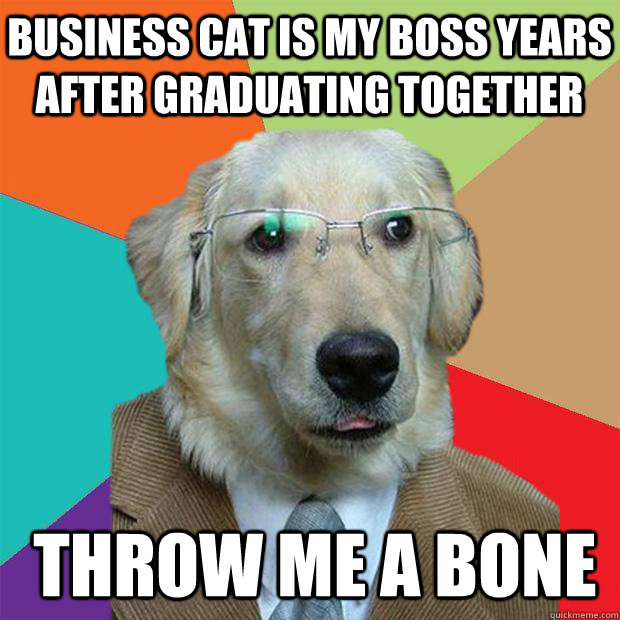 business cat is my boss years after graduating together throw me a bone  Business Dog