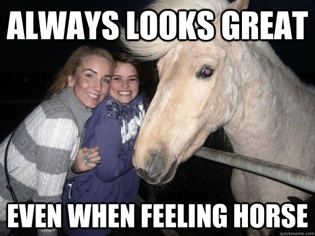 Always Looks Great even when feeling horse  Ridiculously Photogenic Horse