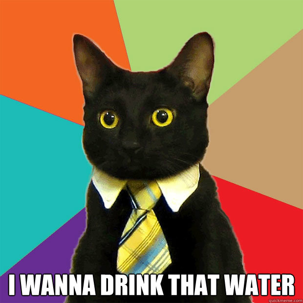  I Wanna drink that water  Business Cat