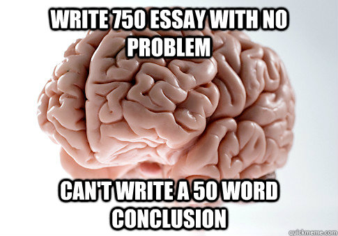 Write 750 essay with no problem can't write a 50 word conclusion   Scumbag Brain