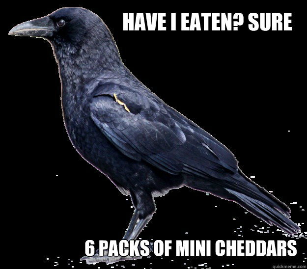 have I eaten? sure 6 packs of mini cheddars - have I eaten? sure 6 packs of mini cheddars  the Crowdet