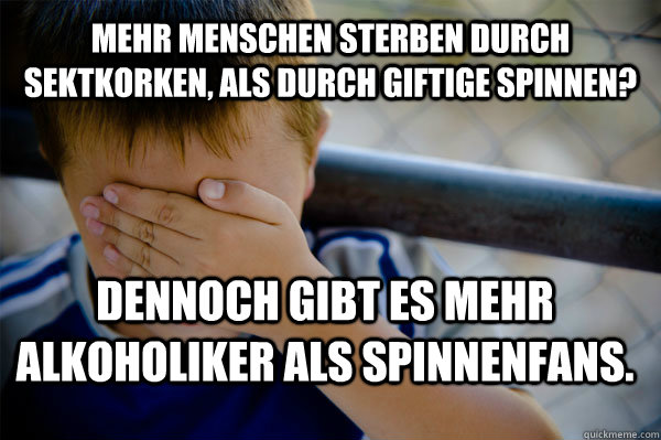 Mehr Menschen sterben durch Sektkorken, als durch giftige Spinnen? Dennoch gibt es mehr Alkoholiker als Spinnenfans.  Confession kid