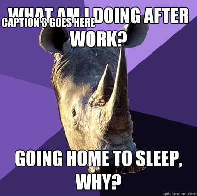 What am I doing after work? going home to sleep, why? Caption 3 goes here  Sexually Oblivious Rhino