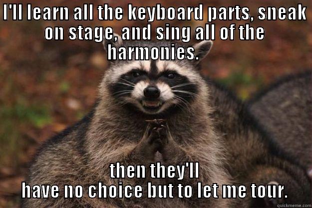 I'LL LEARN ALL THE KEYBOARD PARTS, SNEAK ON STAGE, AND SING ALL OF THE HARMONIES.  THEN THEY'LL HAVE NO CHOICE BUT TO LET ME TOUR. Evil Plotting Raccoon