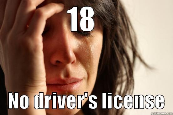 18     NO DRIVER'S LICENSE  First World Problems