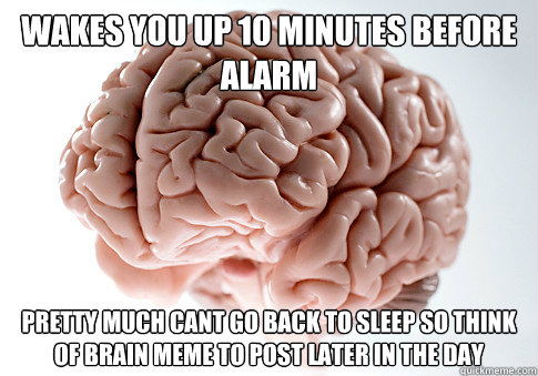 Wakes you up 10 minutes before alarm pretty much cant go back to sleep so think of brain meme to post later in the day  Scumbag Brain