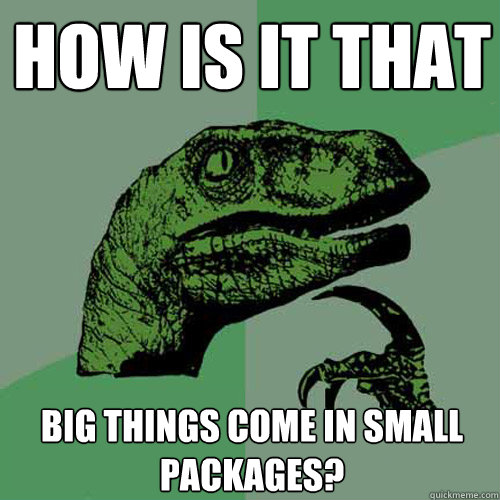 How is it that  big things come in small packages?   Philosoraptor