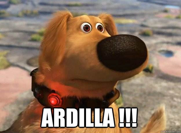 ARDILLA !!! - ARDILLA !!!  Misc