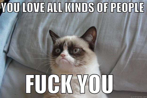 YOU LOVE ALL KINDS OF PEOPLE  FUCK YOU  Grumpy Cat