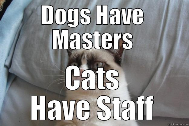 DOGS HAVE MASTERS CATS HAVE STAFF Grumpy Cat