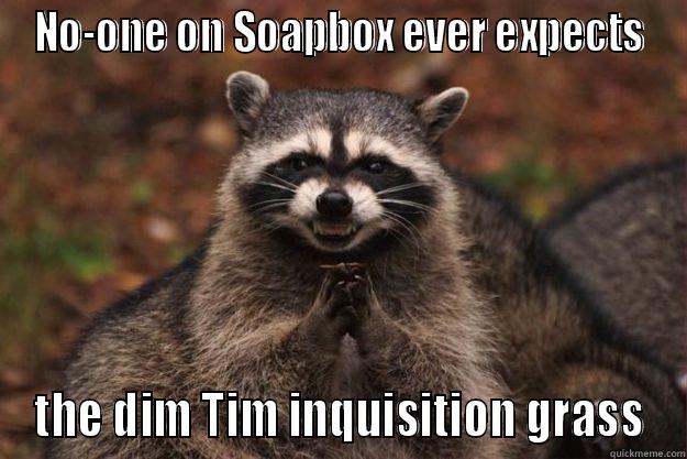 local politics6 - NO-ONE ON SOAPBOX EVER EXPECTS THE DIM TIM INQUISITION GRASS Evil Plotting Raccoon