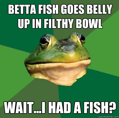 betta fish goes belly up in filthy bowl wait...i had a fish? - betta fish goes belly up in filthy bowl wait...i had a fish?  Foul Bachelor Frog