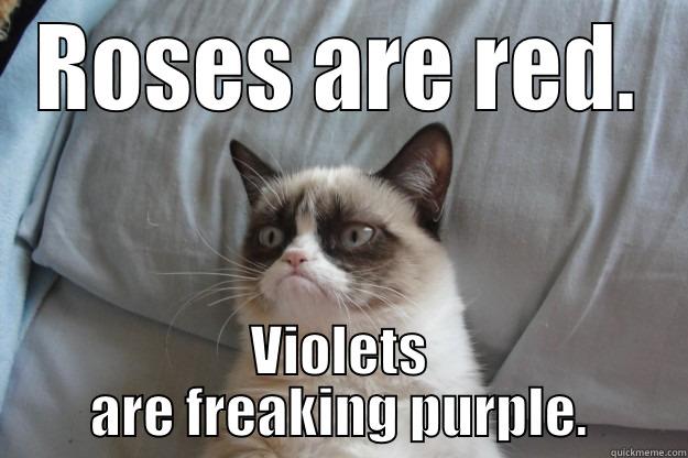 Roses are red.  Violets are freaking purple. - ROSES ARE RED. VIOLETS ARE FREAKING PURPLE. Grumpy Cat