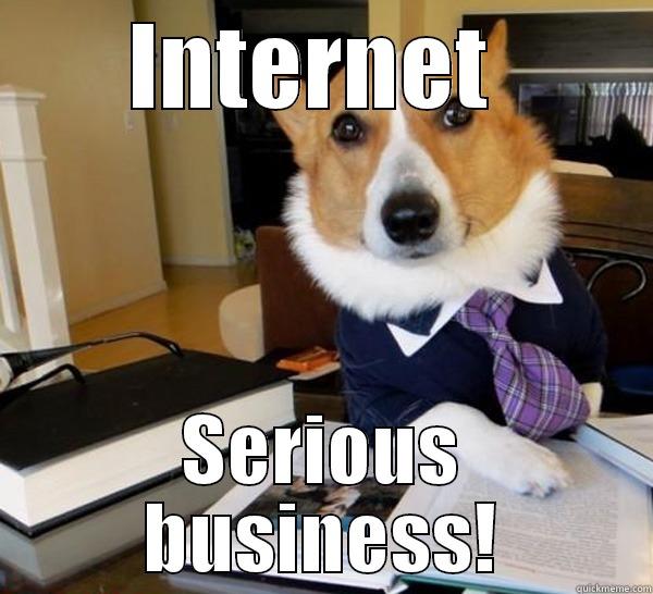 INTERNET  SERIOUS BUSINESS! Lawyer Dog