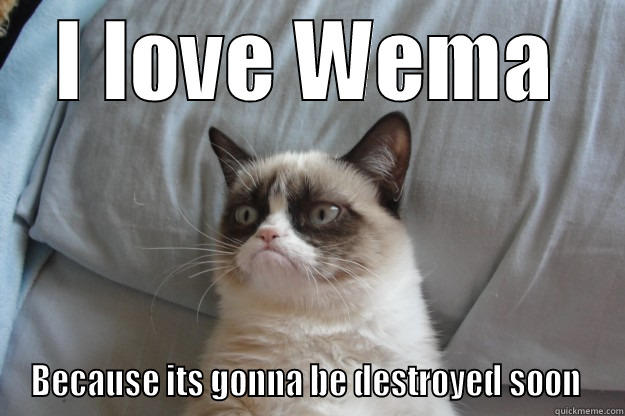 Fuck Wema - I LOVE WEMA BECAUSE ITS GONNA BE DESTROYED SOON  Grumpy Cat