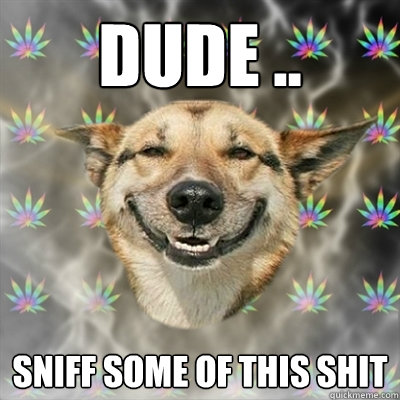 dude .. sniff some of this shit   Stoner Dog