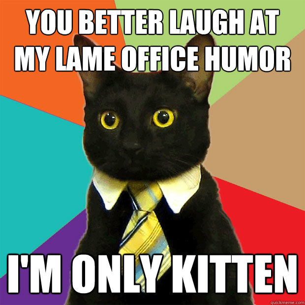 you better laugh at my lame office humor i'm only kitten  Business Cat