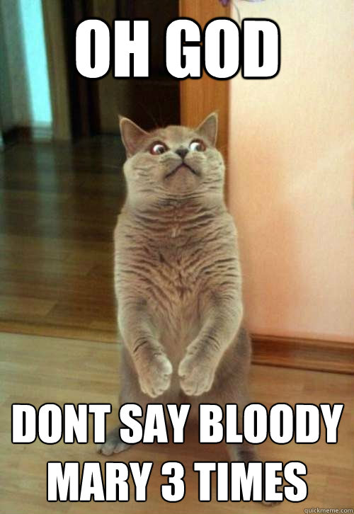 Oh god DONT SAY BLOODY MARY 3 TIMES  Horrorcat