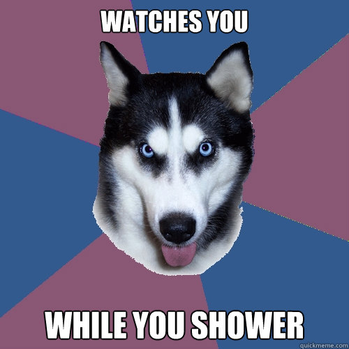 Watches you While You Shower  Creeper Canine