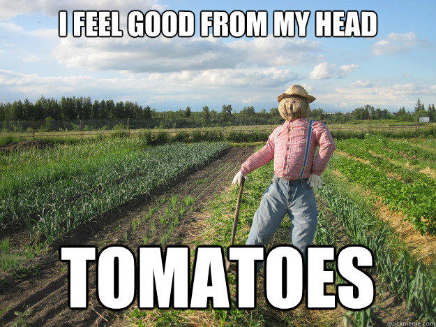 I feel good from my head tomatoes  