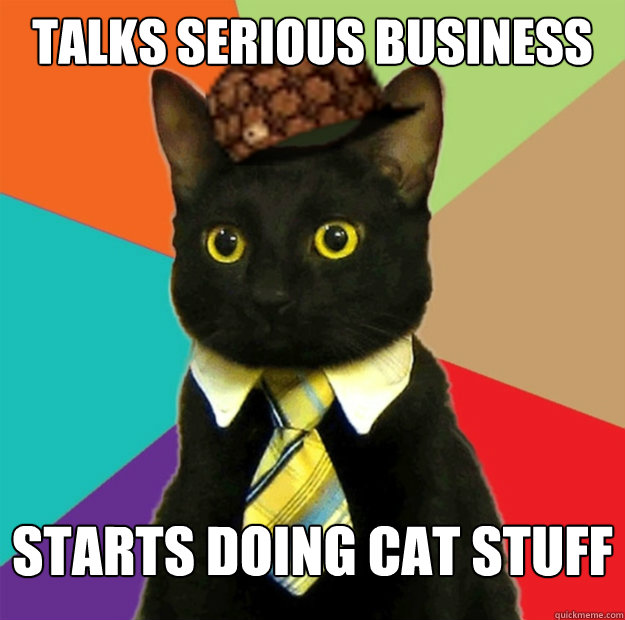 talks serious business starts doing cat stuff - talks serious business starts doing cat stuff  Scumbag Business Cat