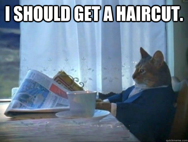 I should get a haircut.  - I should get a haircut.   morning realization newspaper cat meme