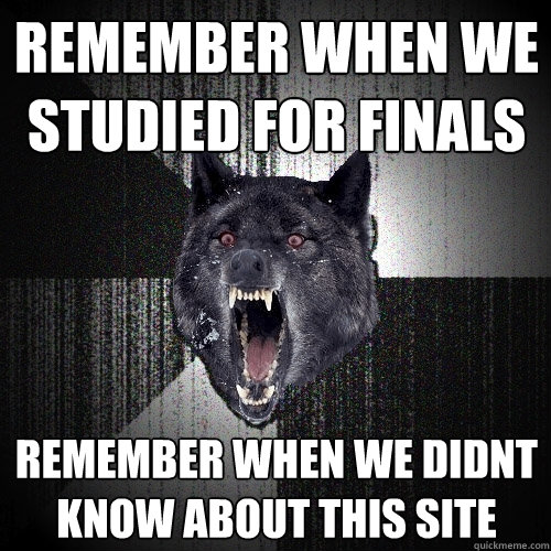 remember when we studied for finals remember when we didnt know about this site  Insanity Wolf