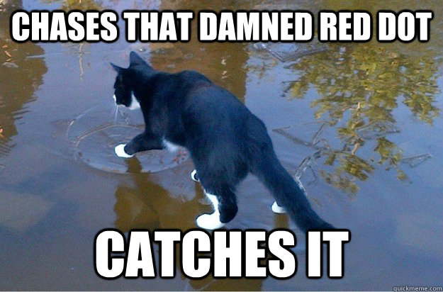 Chases that damned red dot Catches it  