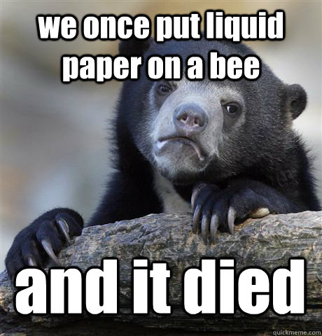 we once put liquid paper on a bee and it died  Confession Bear