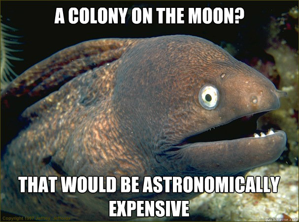 A colony on the moon? That would be astronomically expensive  Bad Joke Eel