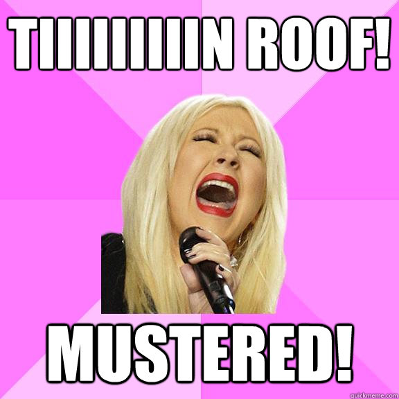 TIIIIIIIIIN ROOF! MUSTERED!   Wrong Lyrics Christina