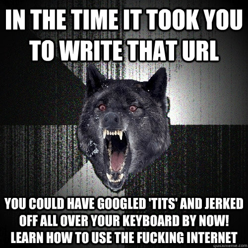 in the time it took you to write that url you could have googled 'tits' and jerked off all over your keyboard by now! Learn how to use the fucking internet - in the time it took you to write that url you could have googled 'tits' and jerked off all over your keyboard by now! Learn how to use the fucking internet  Insanity Wolf