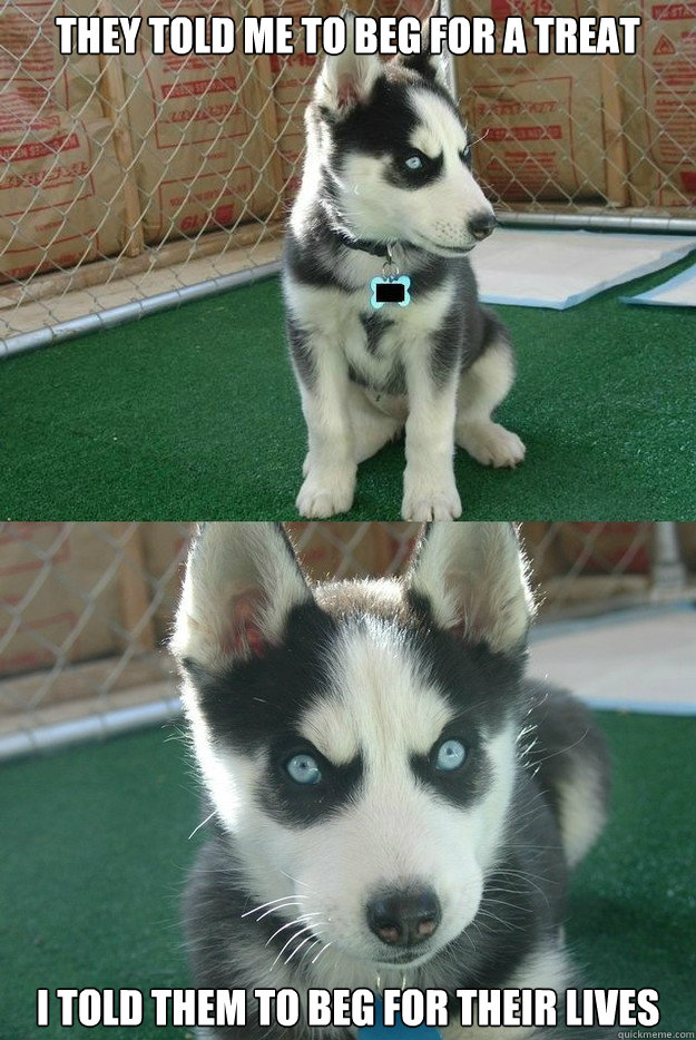 They told me to beg for a treat I told them to beg for their lives  Insanity puppy