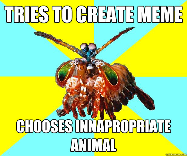 Tries to create meme Chooses innapropriate animal  Non-internet savvy mantis shrimp