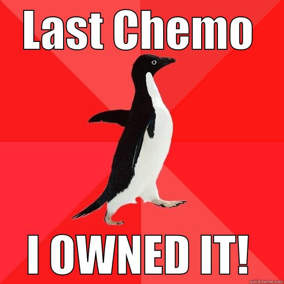 LAST CHEMO I OWNED IT! Socially Awesome Penguin