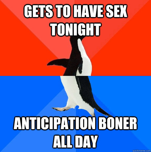 Gets to have sex tonight Anticipation boner all day  Socially Awesome Awkward Penguin