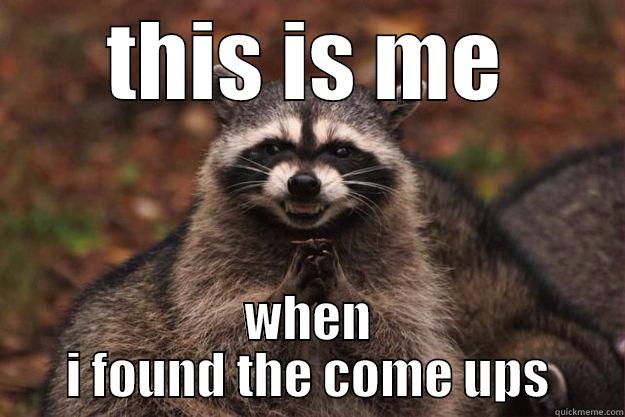 THIS IS ME WHEN I FOUND THE COME UPS Evil Plotting Raccoon