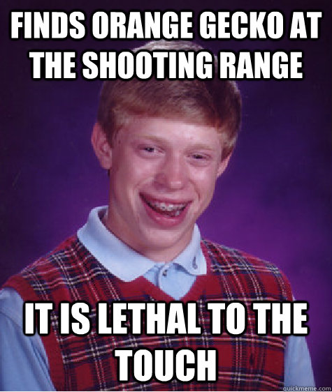 Finds Orange Gecko at the shooting range It is lethal to the touch  Bad Luck Brian