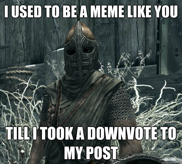 I used to be a meme like you Till I took a downvote to my post  Skyrim Guard