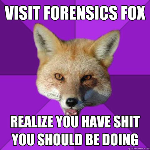 Visit forensics fox realize you have shit you should be doing  Forensics Fox