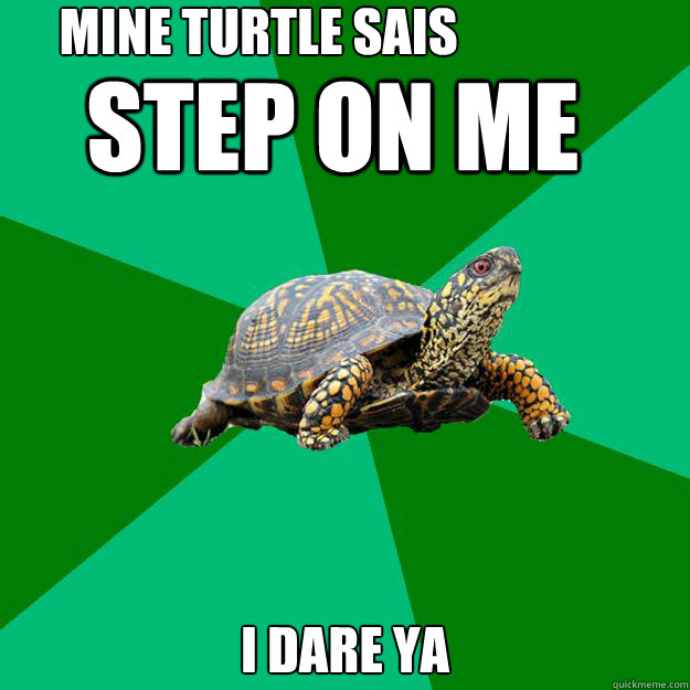 step on me  i dare ya  mine turtle sais  - step on me  i dare ya  mine turtle sais   Torrenting Turtle