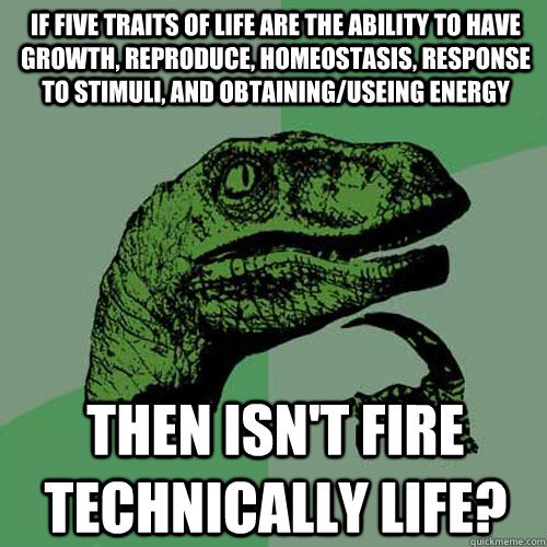 If five traits of life are the ability to have growth, reproduce, homeostasis, response to stimuli, and obtaining/useing energy Then isn't FIRE technically life?  - If five traits of life are the ability to have growth, reproduce, homeostasis, response to stimuli, and obtaining/useing energy Then isn't FIRE technically life?   Philosoraptor