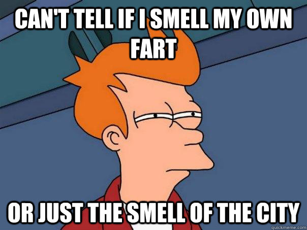 Can't tell if I smell my own fart Or Just the smell of the city  Futurama Fry