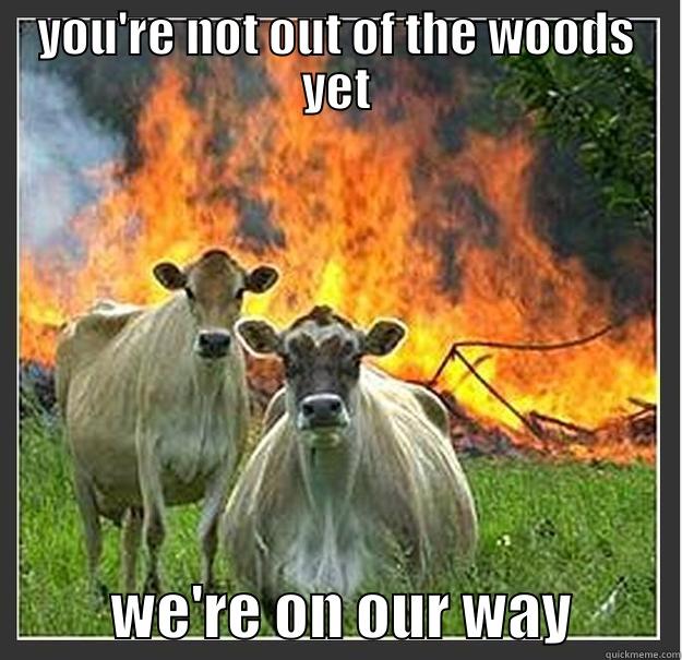 YOU'RE NOT OUT OF THE WOODS YET           WE'RE ON OUR WAY         Evil cows