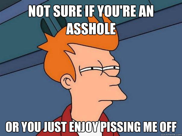 Not sure if you're an asshole Or you just enjoy pissing me off   Futurama Fry