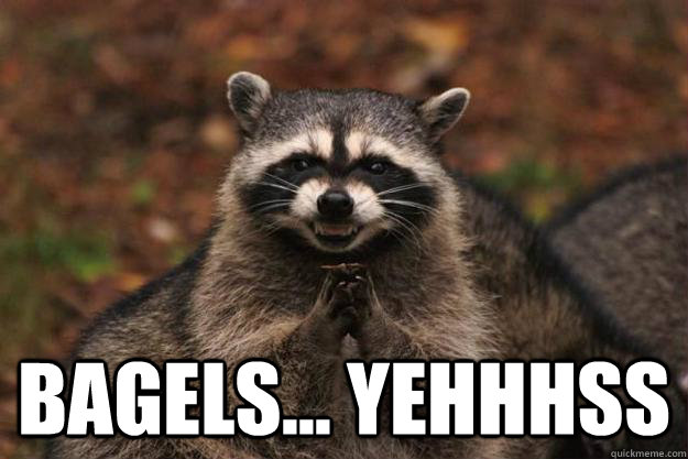  Bagels... yehhhss  Evil Plotting Raccoon