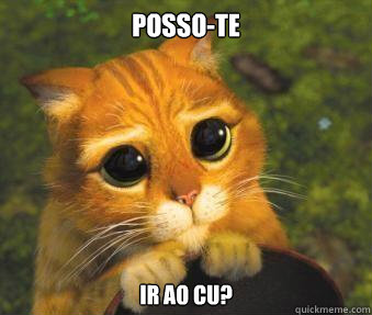 Posso-te ir ao cu?  Puss in boots